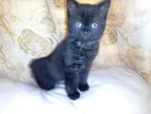 IMG 20160523 093512.jpg