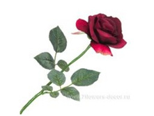 3760169245892 ������ ������������� ���� Brenda, 57�� 144 258,75.jpg