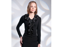 ������ ������� ZAPS (OLGA)-250 ���