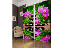 02118. ��������� "����� ���"