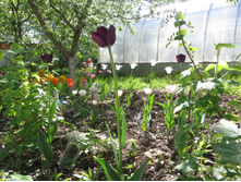 �����. ������ �����. �� ���������!