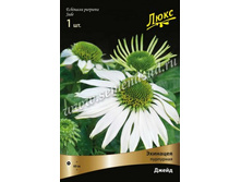 �������� ��������� �����.jpg