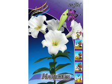 26,84���. ����� �������(��� 7 ��. ���������� ������ 3 ��� 4 ��.).jpg