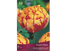 ������� ������ �����.jpg