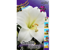 28,1���. ����� ������ �����(��� 7 ��. ���������� ������ 3 ��� 4 ��.).jpg