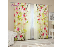 04606. ��������� "����������"