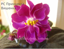 �� ��������� �������