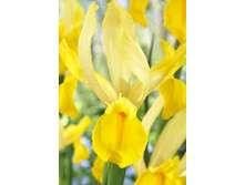 11���. ���� ����. ������ ����(���������� ������ ������ ���������� �� 10 ��.).jpg