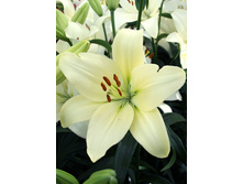 20���. ����� �������(��� 7 ��. ���������� ������ 3 ��� 4 ��.)���16.jpg