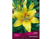 ����� ���� ���������.jpg