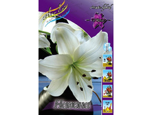 20,82���. ����� �������(��� 5 ��. ���������� ������ 2 ��� 3 ��.).jpg