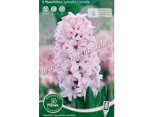 ������� �������� ��������.jpg