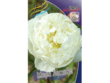 242,2���. ���� ���� ������(�������� ���� �� 1 ��., ����������� ����� 1��.).jpg