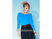 ������ ������� ZAPS (INDIRA-620 ���