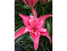 38,8���. ����� ����� �������(��� 5 ��. ���������� ������ 2 ��� 3 ��.).jpg