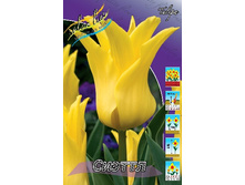 21,68���. ������� ������(��� 10 ��. ���������� ������ 5��.).jpg