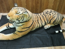 ���� ��������, 500�.