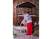 6151151 �����.jpg