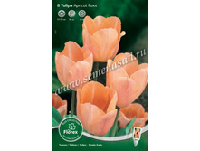 ������� ������� ����.jpg