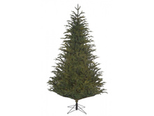 �� ��� �������� �������