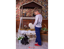 6141132 �����.jpg