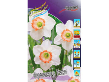 30,97���. ������� ������� ����(��� 7 ��. ���������� ������ 3 ��� 4 ��.)���15.jpg