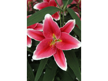 28���. ����� ����(��� 5 ��. ���������� ������ 2 ��� 3 ��.)���16.jpg