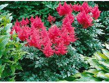 �������� ���������� ���� 150��� � ������� 26��.jpg