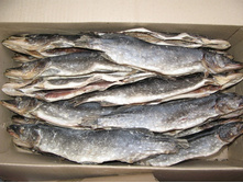 ���� �������.