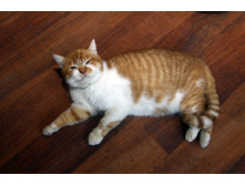 �� � ��� ��� � ������� .. ���� � ���� ������� ...