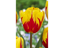 17,18���. ������� ������� ����(��� 10 ��. ���������� ������ 5��.)���15.jpg