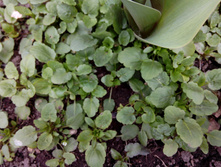 IMG 20160416 135654.jpg