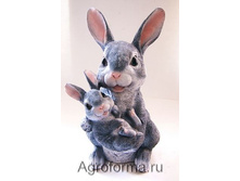 ������� � ��������� �������-1