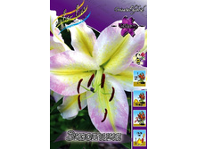 29,25���. ����� ��������(��� 4 ��. ���������� ������ 2 ��.).jpg