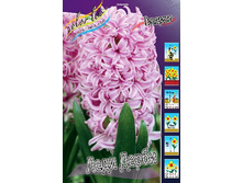 23,88���. ������� ���� �����(��� 5 ��. ���������� ������ 2 ��� 3 ��.).jpg