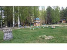 20160509 124732.jpg