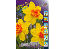 48,22���. ������� ����� �����(�������� ���� �� 5 ��., ����������� ����� 1��.)���15.jpg