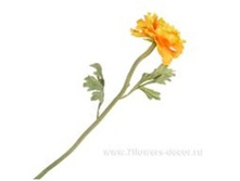 4606500502417 ������ ������������� �����, 53�� 120 281,75.jpg