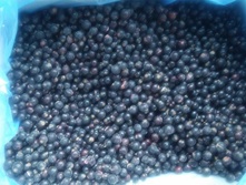    ȳ��� ���������.jpg