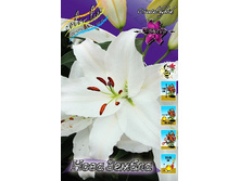 28,64���. ����� ���� ������(��� 7 ��. ���������� ������ 3 ��� 4 ��.).jpg