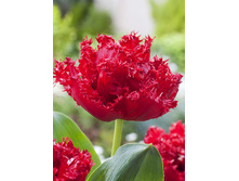 20,37���. ������� ������(��� 10 ��. ���������� ������ 5��.)���15.jpg