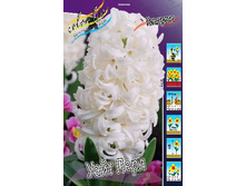 21,06���. ������� ���� ����(��� 5 ��. ���������� ������ 2 ��� 3 ��.).jpg