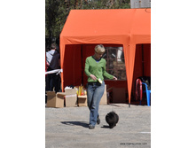 16-DSC 0529.JPG