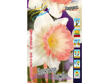 38,86���. ������� ������ �����(��� 5 ��. ���������� ������ 2 ��� 3 ��.).jpg