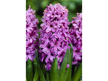 22���. ������� ����� ����(��� 5 ��. ���������� ������ 2 ��� 3 ��.).jpg