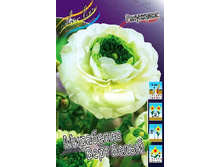 40,22���. ���������� ��������� ���� �����(�������� ���� �� 10 ��., ����������� ����� 1��.).jpg