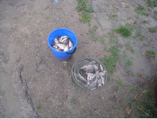 ��������� ����