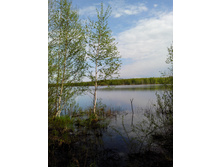 IMG 20160507 143813.jpg