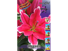 29,8���. ����� �����(��� 5 ��. ���������� ������ 2 ��� 3 ��.).jpg