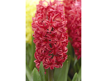 23,88���. ������� ��� ������(��� 5 ��. ���������� ������ 2 ��� 3 ��.)���16.jpg